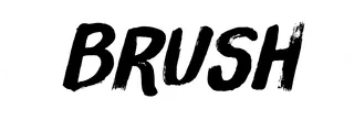 Brush
